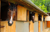 free Felin Newydd stable construction quotes